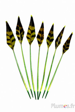 Tétras des bois flèche - 19-21 cm - lime-café